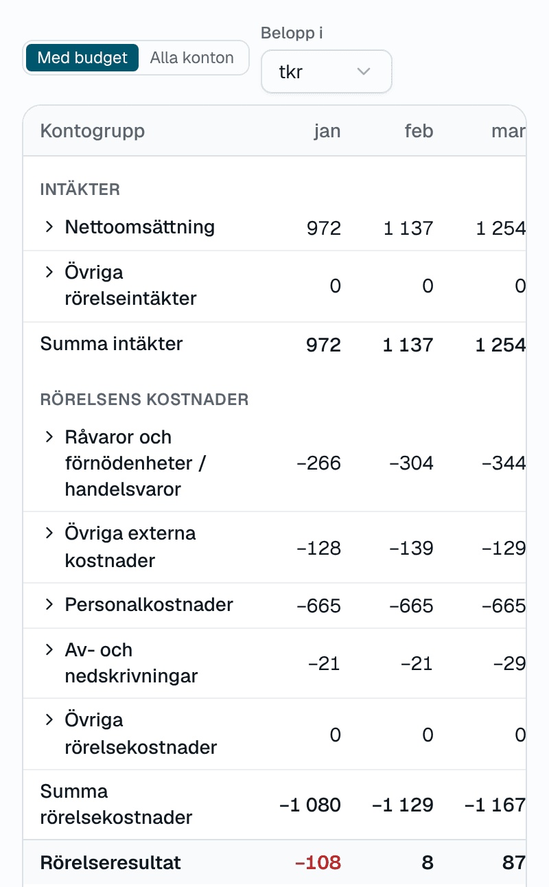 Budgeten i Insum för demobolaget, uppställd som resultaträkningen med intäkter, kostnader och rörelseresultat per månad